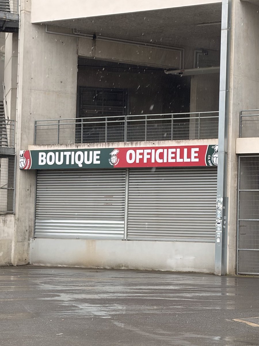 CSSA 1919 🟢🔴 tweet media