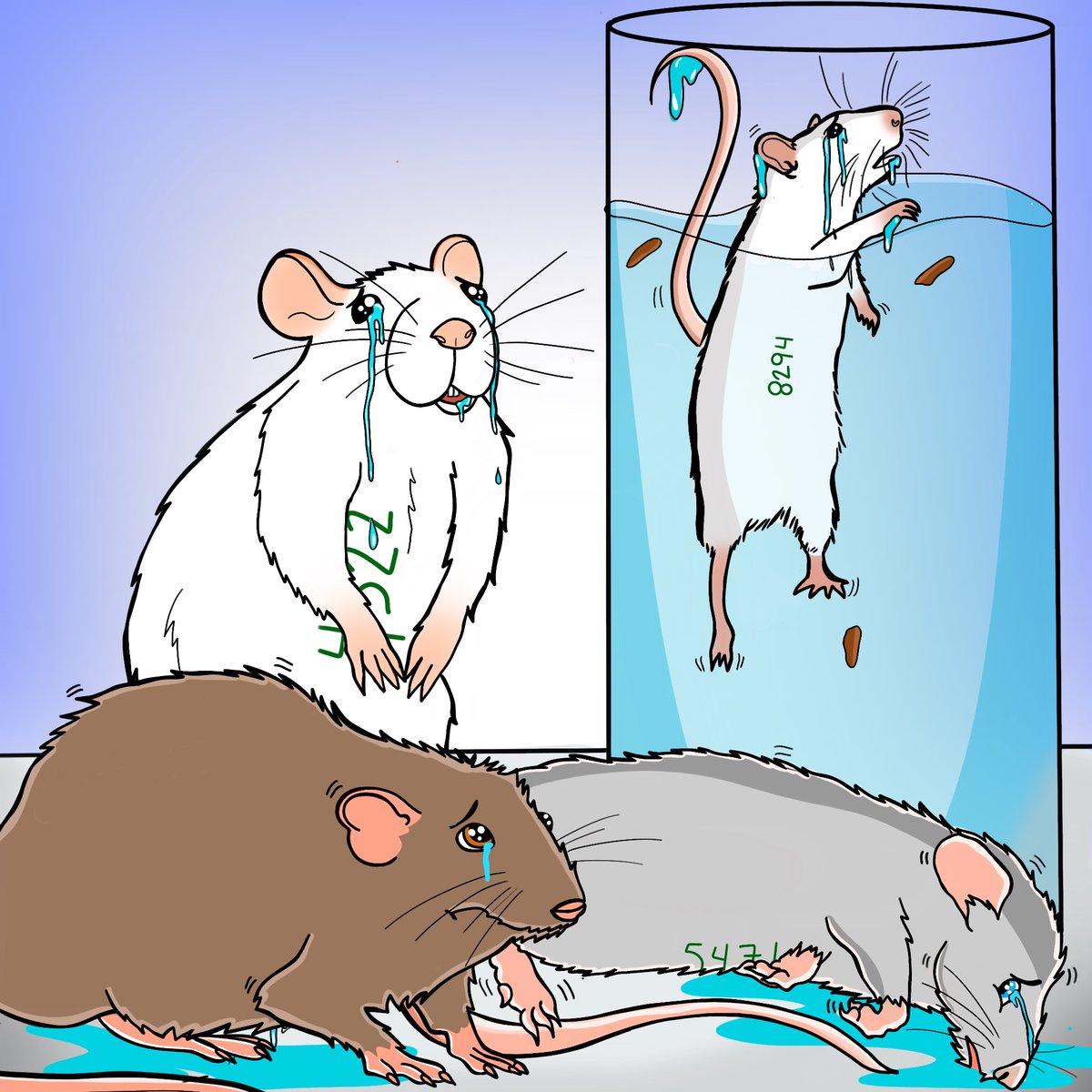 PETA France tweet media