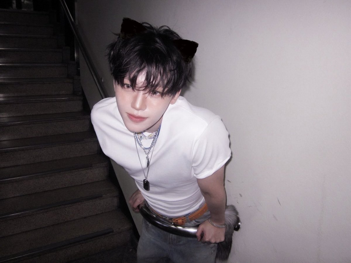 냥  🐈‍⬛ ˳ ˳ ♡︎