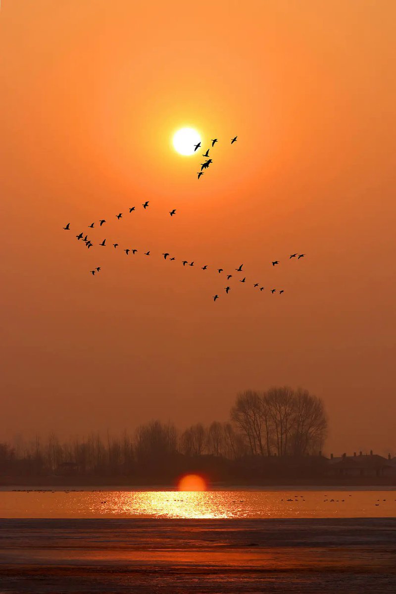 Metthaw Pirnec 🌥 tweet media