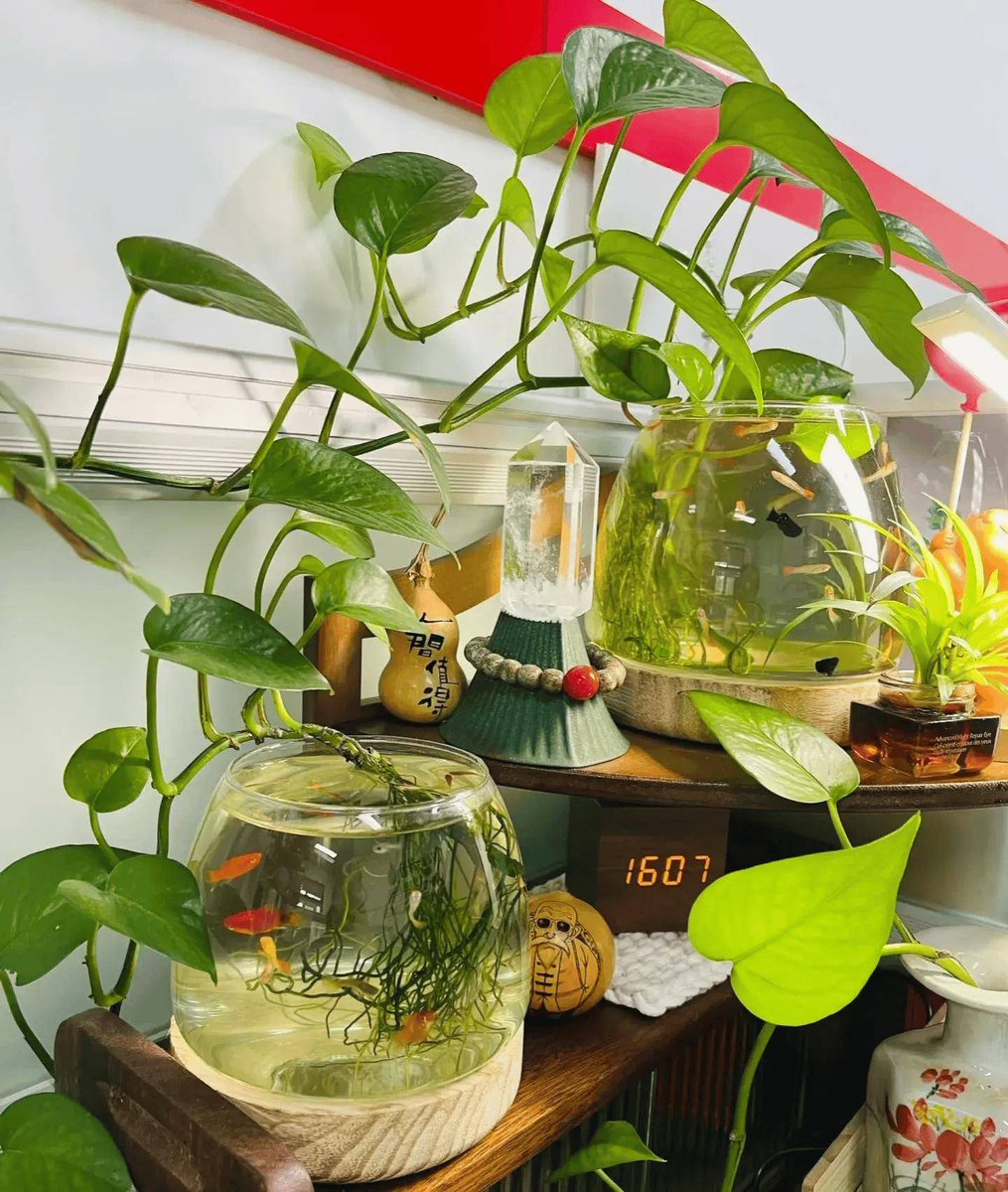 Audy Cousten tweet media