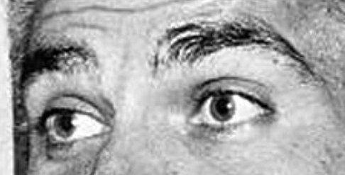 Bufo Calvin tweet media