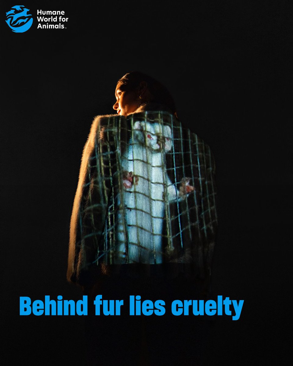 Humane World for Animals Europe tweet media