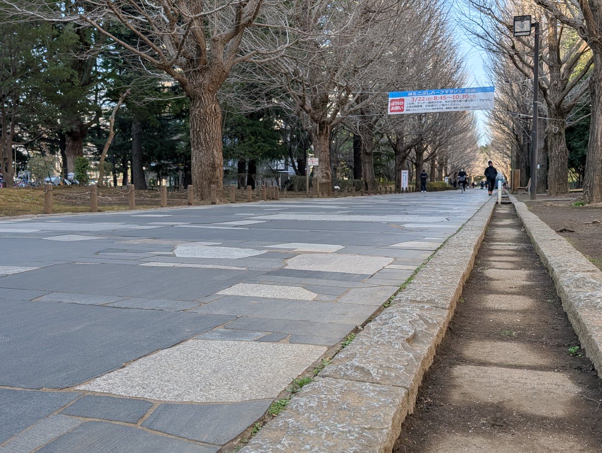 robsawn | SlimeCore Dynamics tweet media