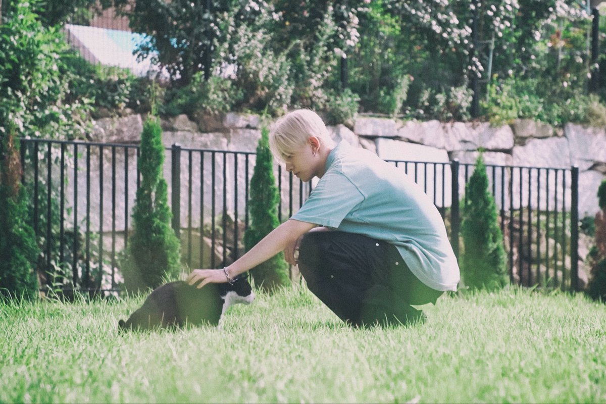 nada..🐈 tweet media