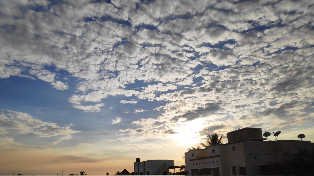 Onepunchman428's tweet photo. Just caught this breathtaking sunset! 🌇 The sky is absolutely incredible with those fluffy clouds. Makes me want to just stop and appreciate the beauty around us. ✨ What's your best sunset moment ? ☁️🧡 #SunsetVibes https://t.co/VeZEKhIhmA