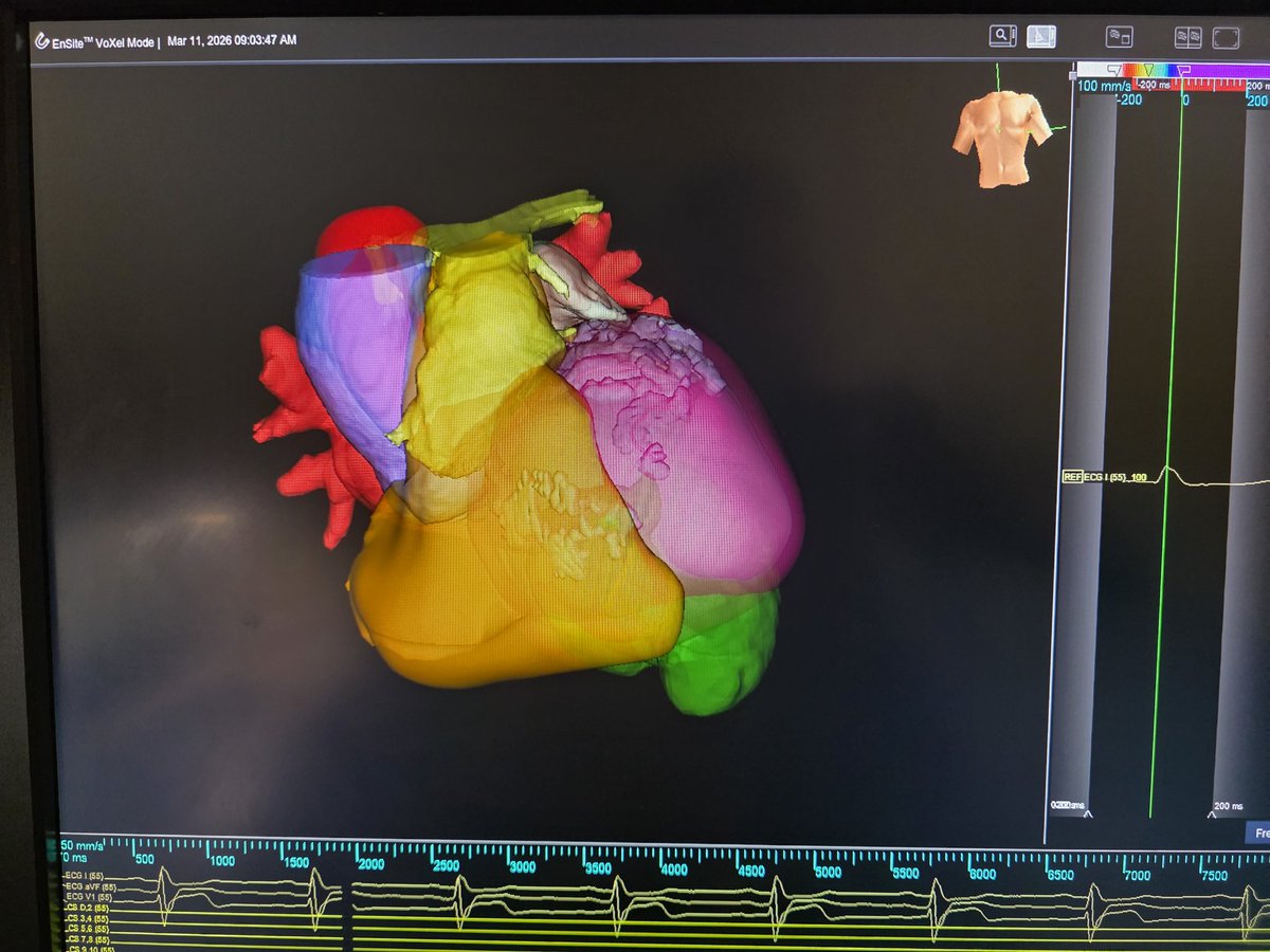 Radosław Lenarczyk tweet media