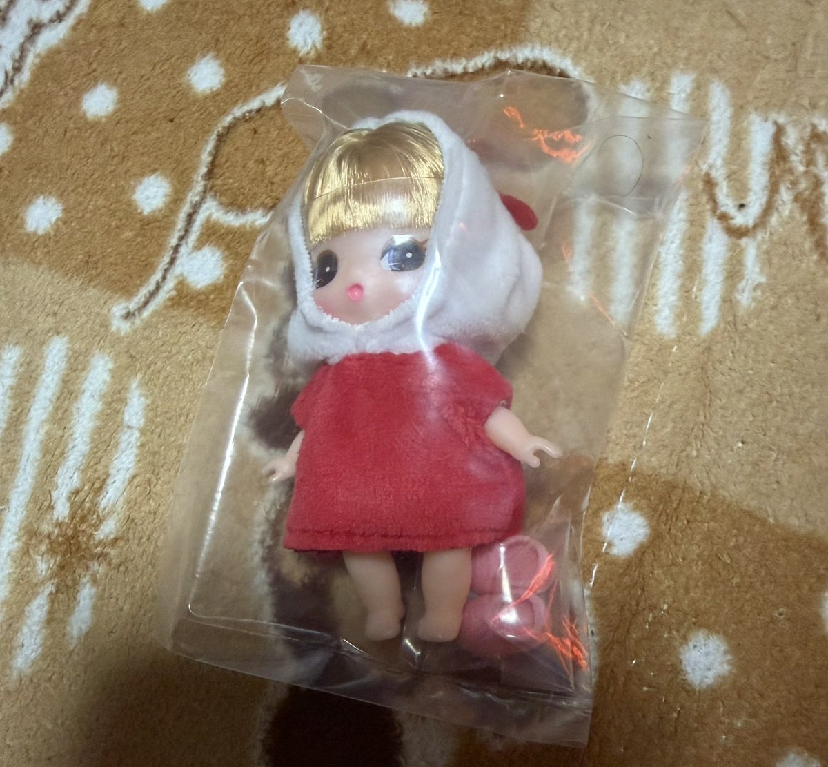 🐾迷いネコ@ちちわチャンネル🐾 tweet media