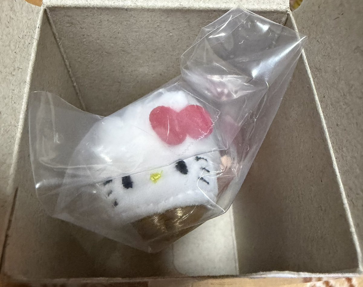 🐾迷いネコ@ちちわチャンネル🐾 tweet media