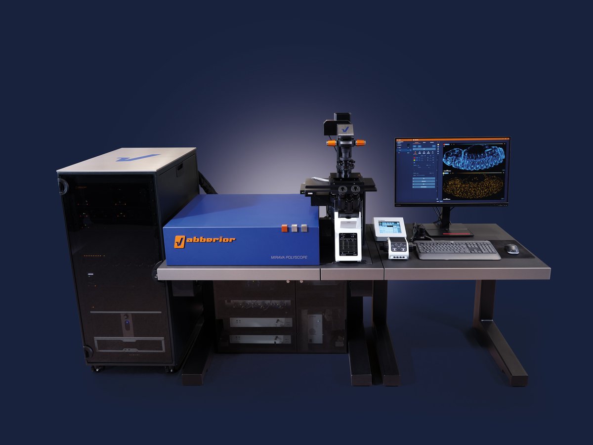 Abberior's tweet photo. MIRAVA POLYSCOPE is the world’s only all-in-one solution for confocal, MATRIX, STED and MINFLUX microscopy with resolutions from millimeters down to 3 nm.
Learn how MIRAVA can transform your research: 
https://t.co/phSKGj7ole 

#miravapolyscope #superresolution #minflux #stedmicroscopy