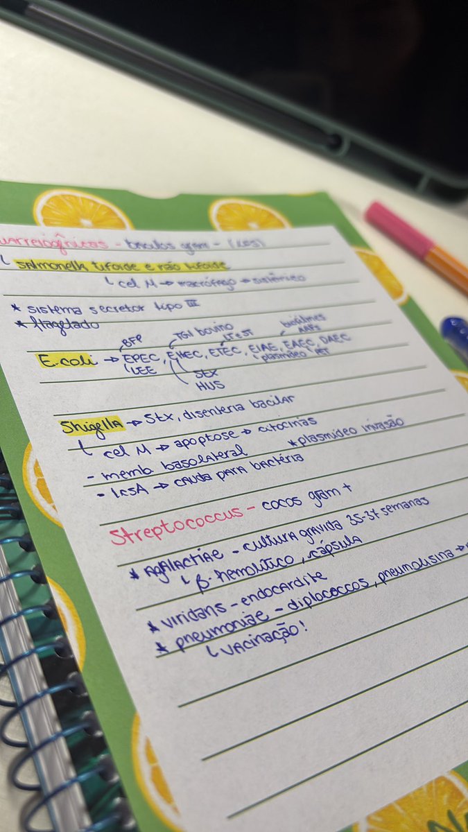 lua 🌙 tweet media