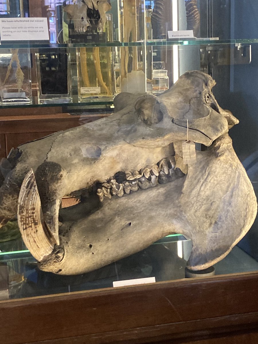 Ms Dempsey tweet media