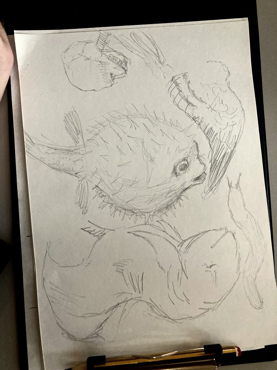 Ms Dempsey tweet media