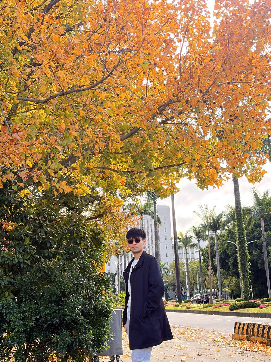 GoGi43533653's tweet photo. 🍁🍂🍃🍀🪴🏙️ 
ใบไม้เปลี่ยนสีแล้ว แต่คนยังไม่เปลี่ยนใจนะ 
แฮร่!!! 😝
 #คำคมคนข้างบ้าน #อยุธยา https://t.co/kicBT31mIa