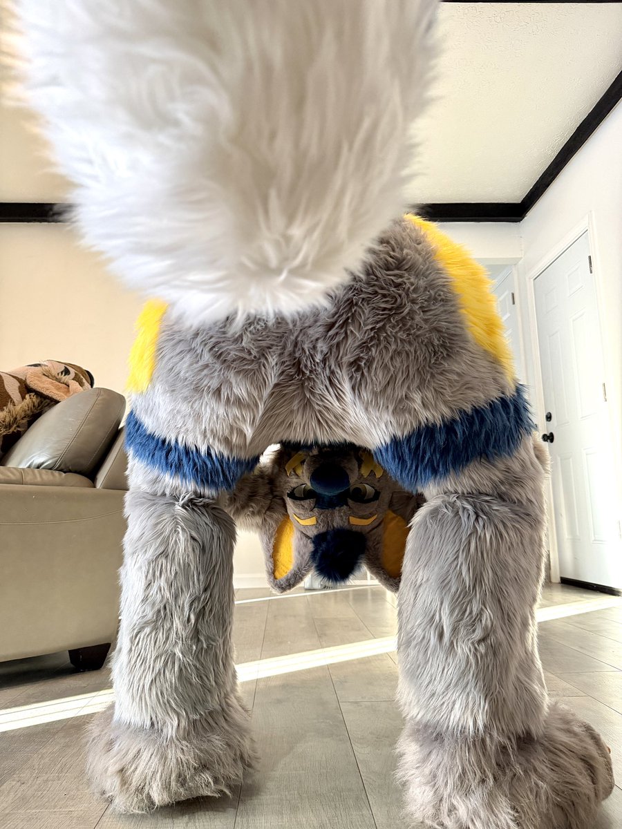 Stitches 🔜 AO tweet media