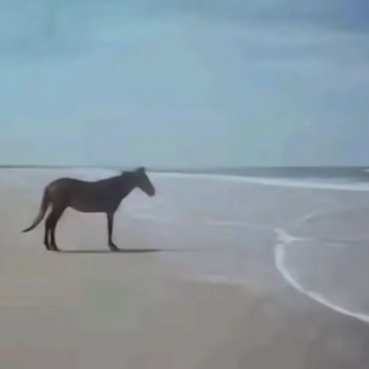 u guys dont understand... u make the city so hot... u can't break my heart....