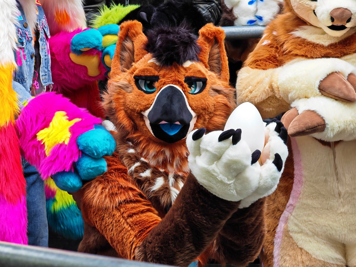 The bird formerly known as Mango tweet media