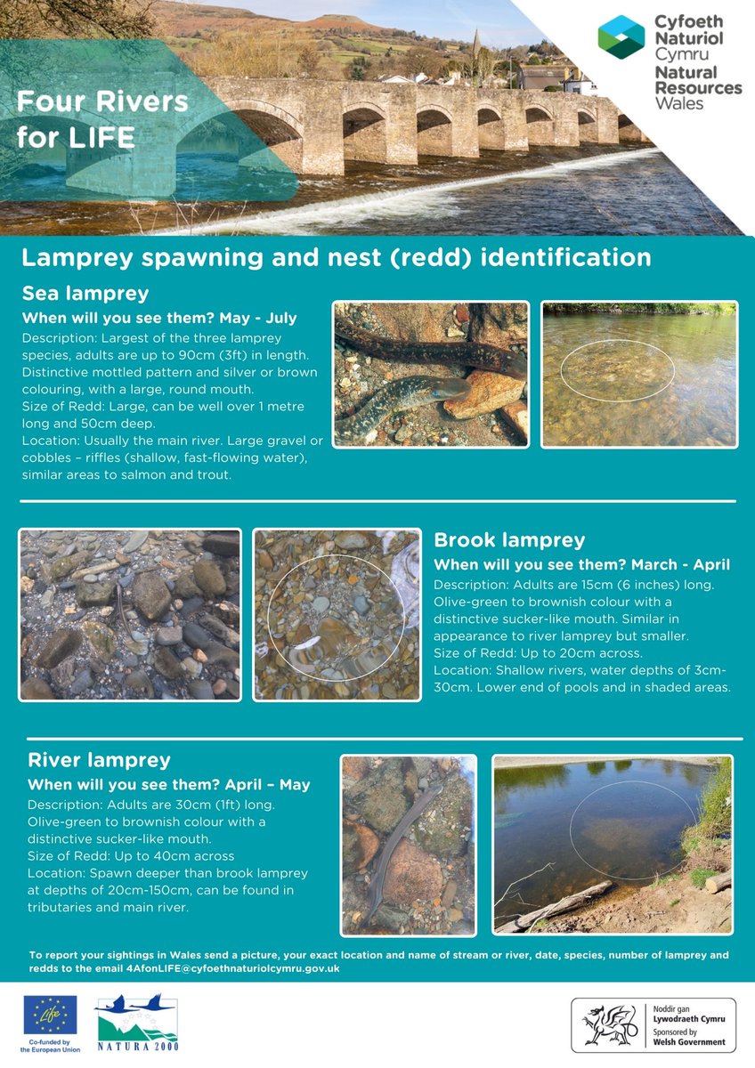 4RiversforLIFE tweet media