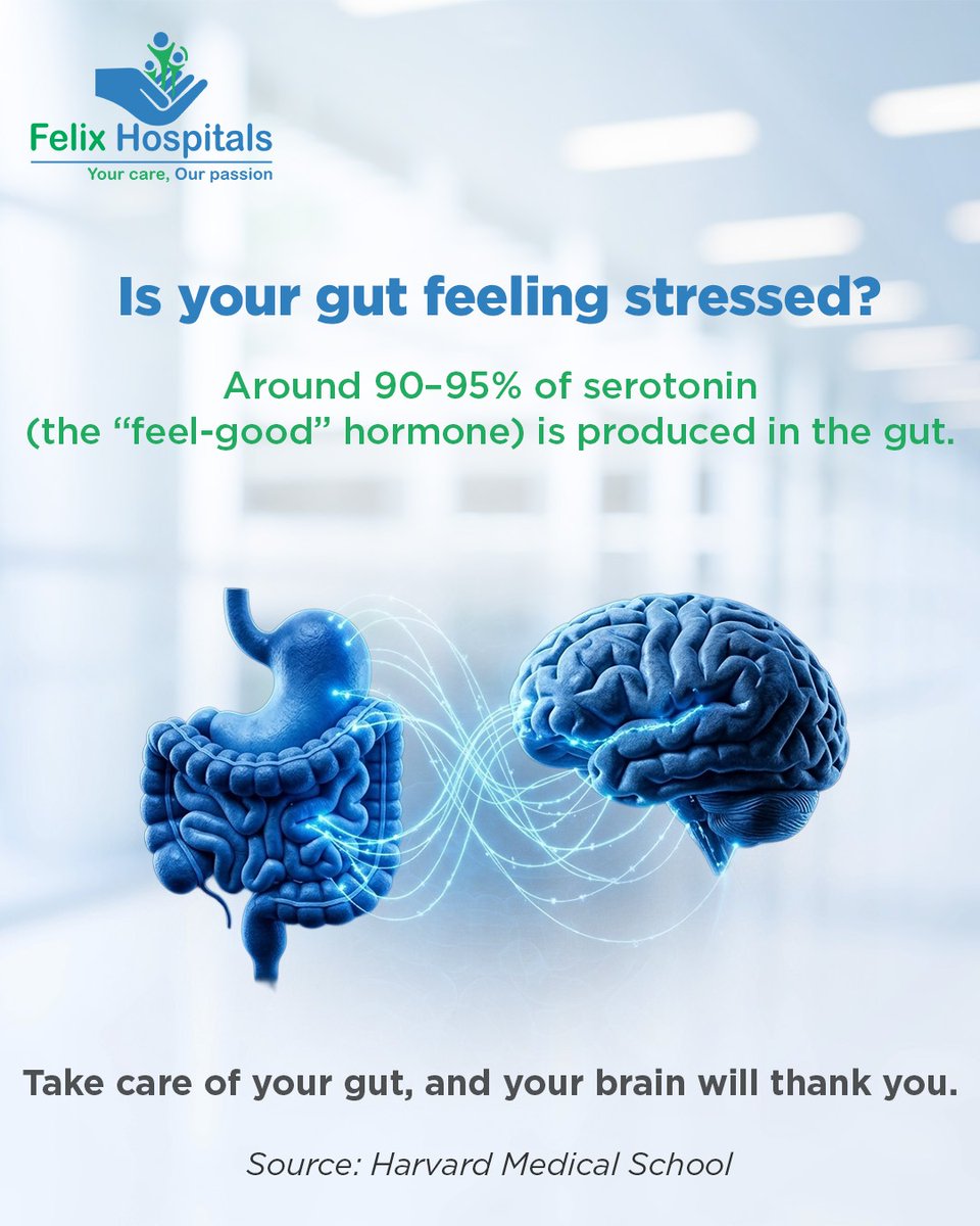 WellnessFelix's tweet image. Around 90–95% of serotonin — the body’s “feel-good” chemical — is produced in the gut, according to Harvard Medical School.
Nurture your gut health, and your mind will feel the difference too.

#GutHealth #Serotonin #DigestiveHealth #GutBrainConnection #FelixHospital