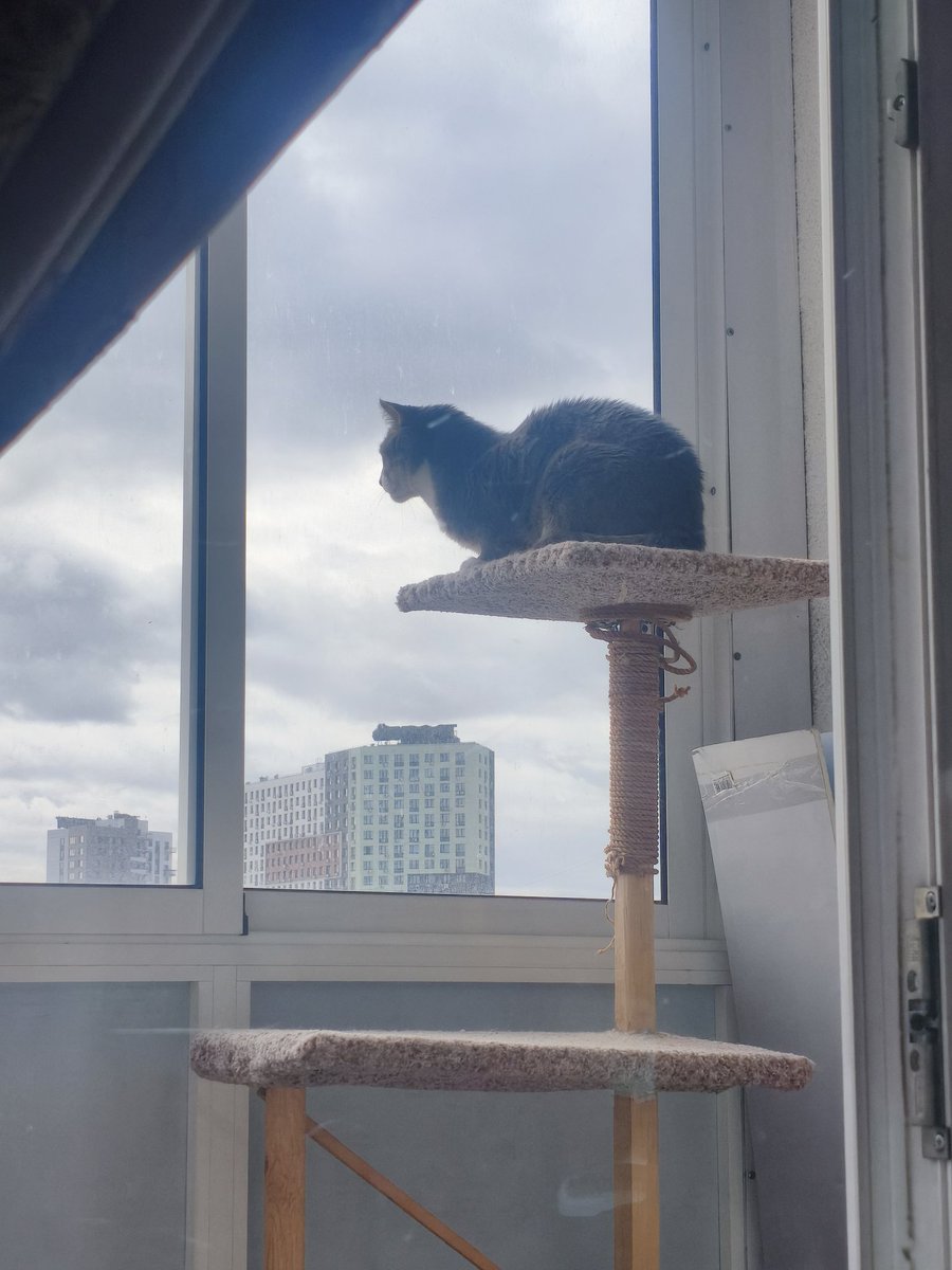 pocketfoto's tweet photo. Ох уж эти бесячие птички🤭 https://t.co/azu680bzvY