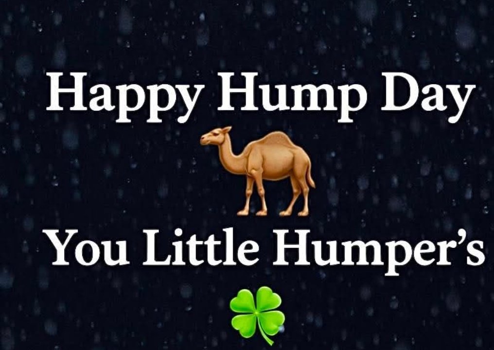 Julssszz1's tweet image. Good Morning Friends!☕😁☕
#Wednesdayvibe