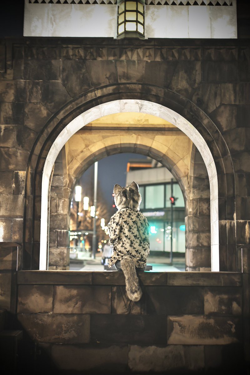 レーヴ・フォグリート (Rêve Foglit)🔰 tweet media