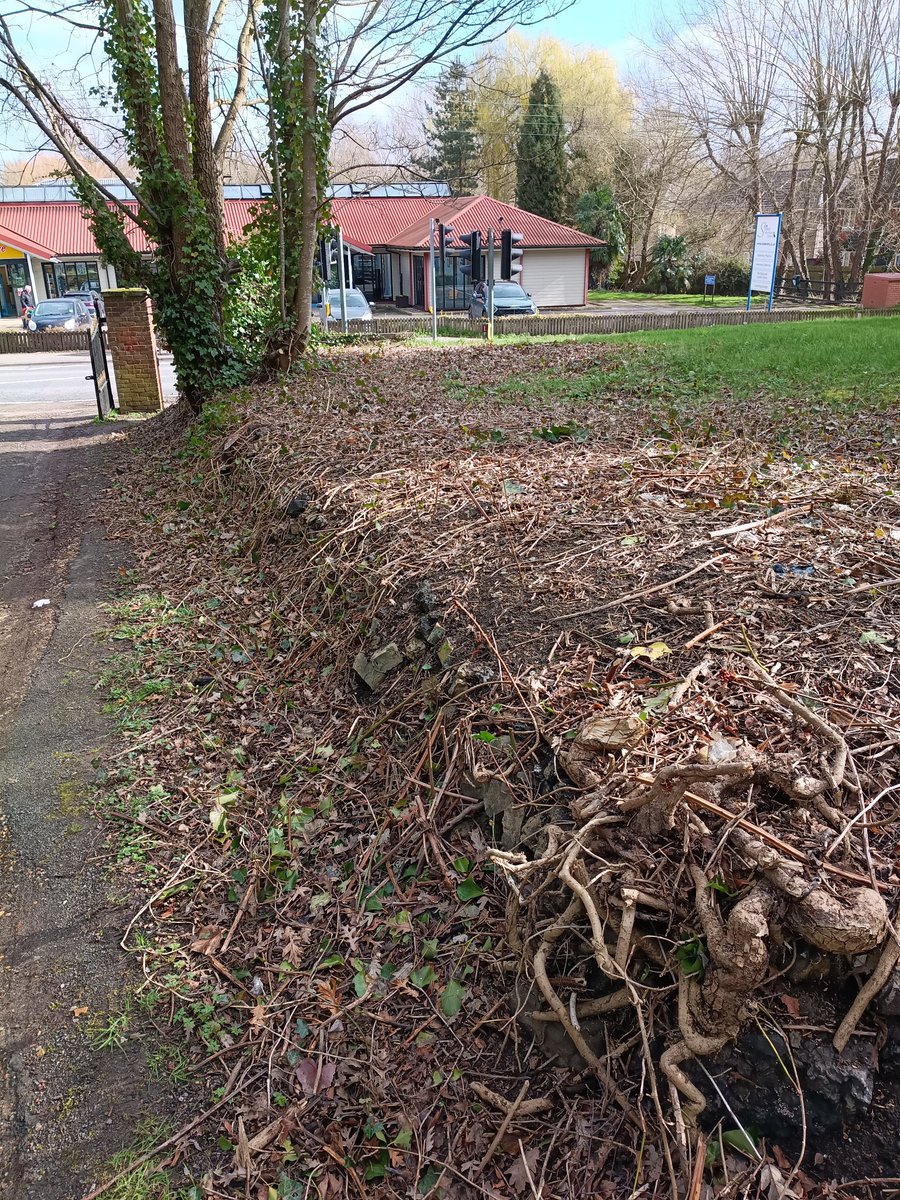 John Walshe tweet media