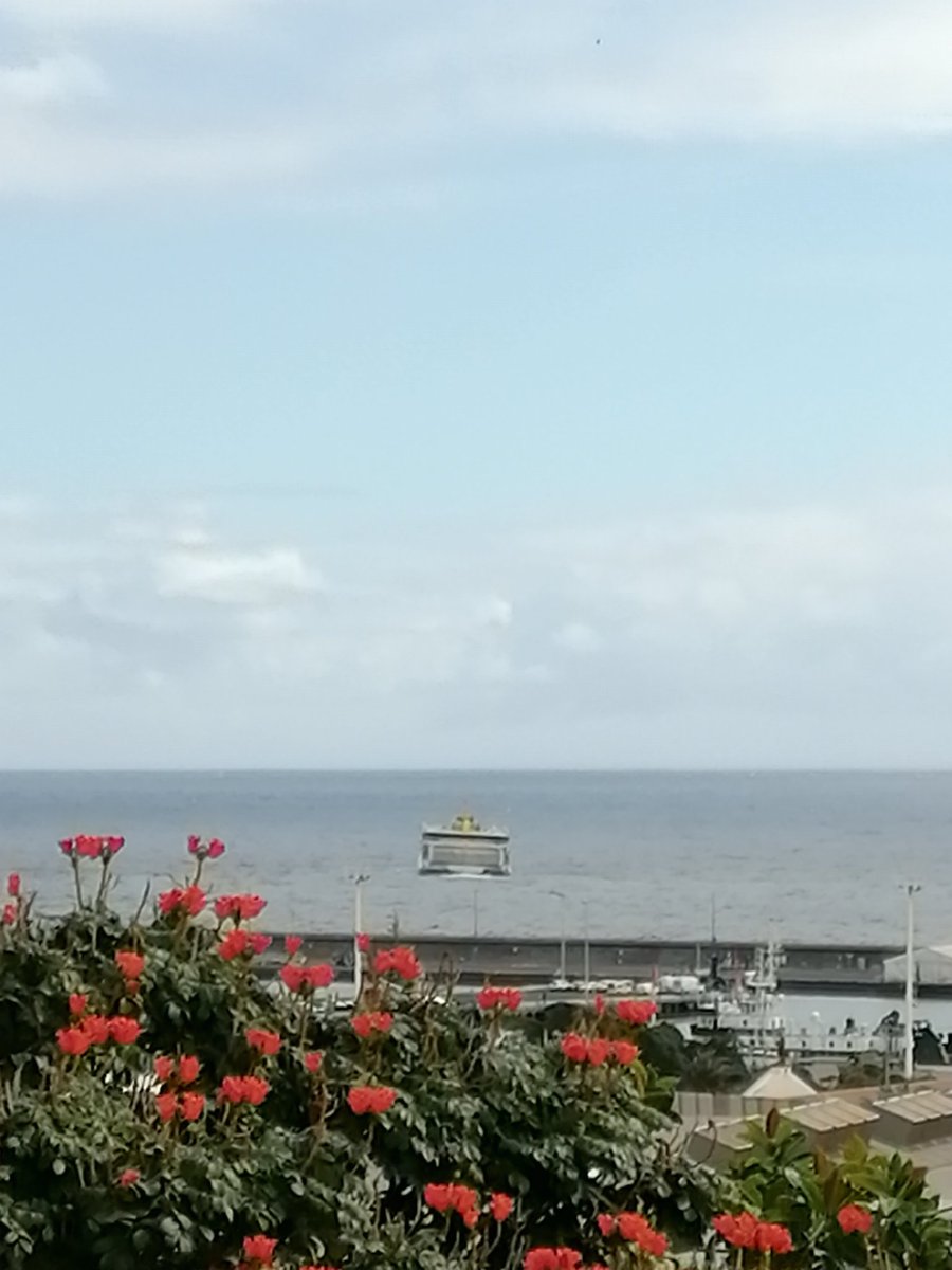 Eduardo Meðina ツ /❤️ tweet media