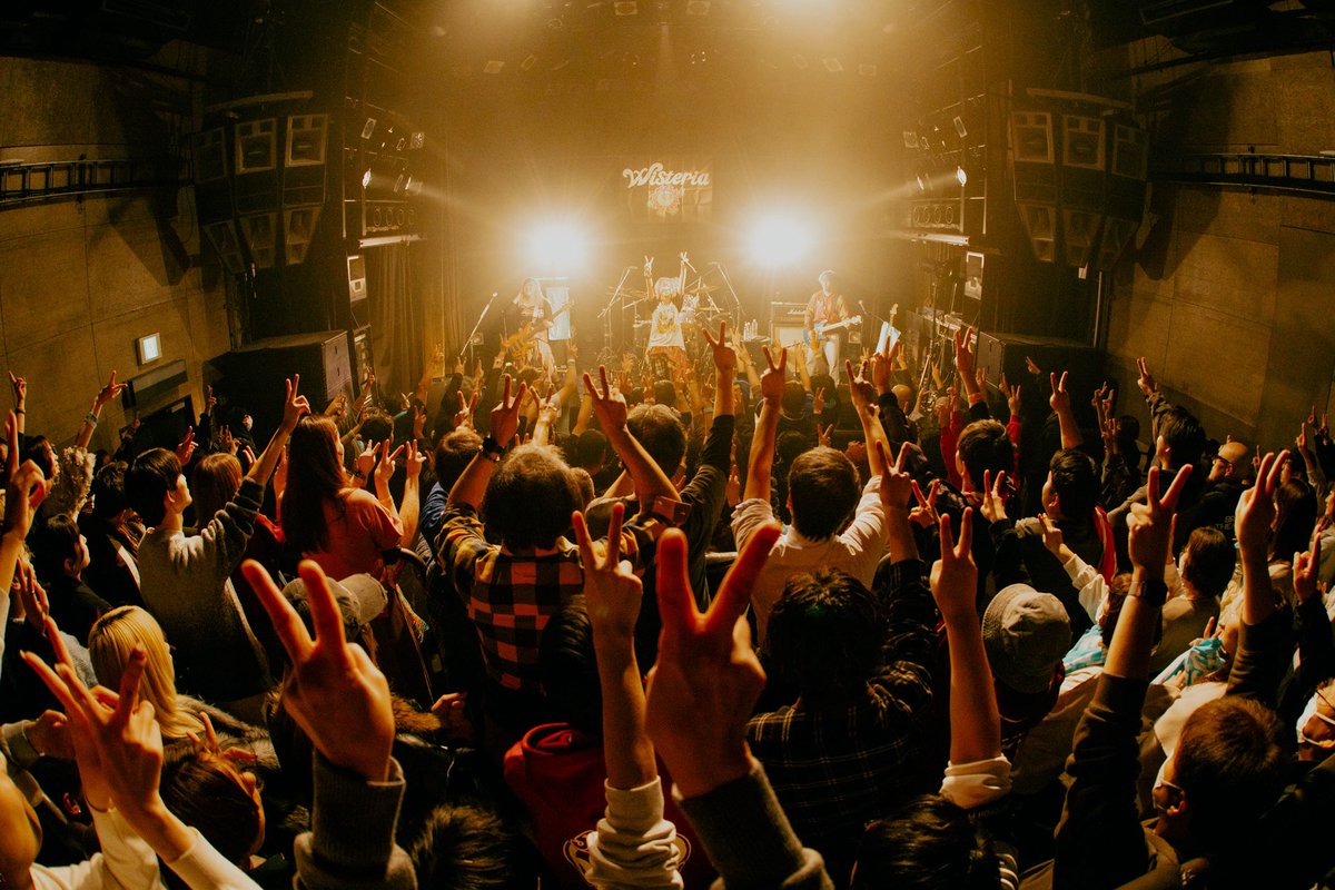 ミイ Wisteria 5/4ツーマン tweet media