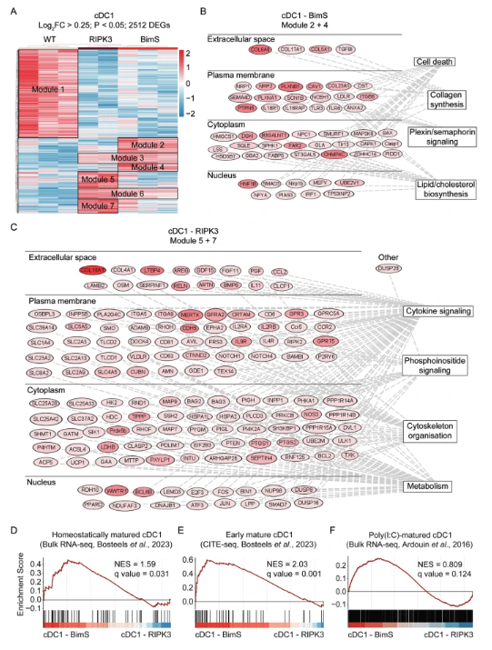 CDD press tweet media