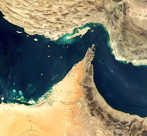 مصطفى كامل tweet media