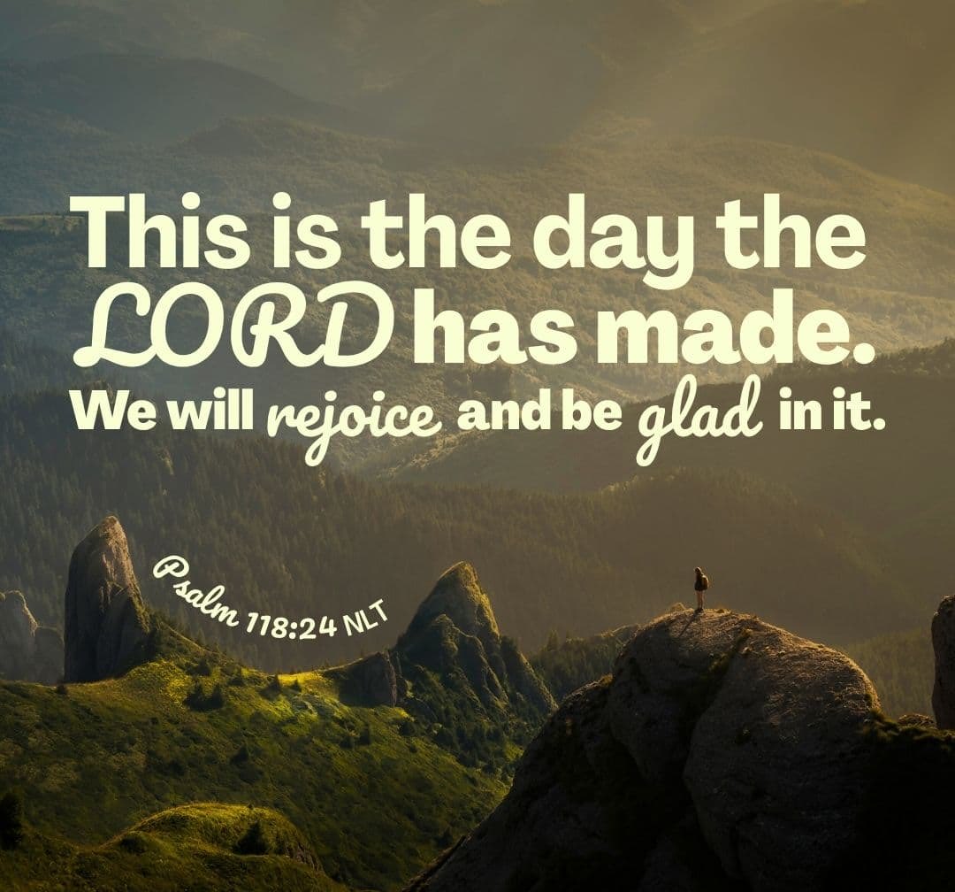 Susan Borg tweet media