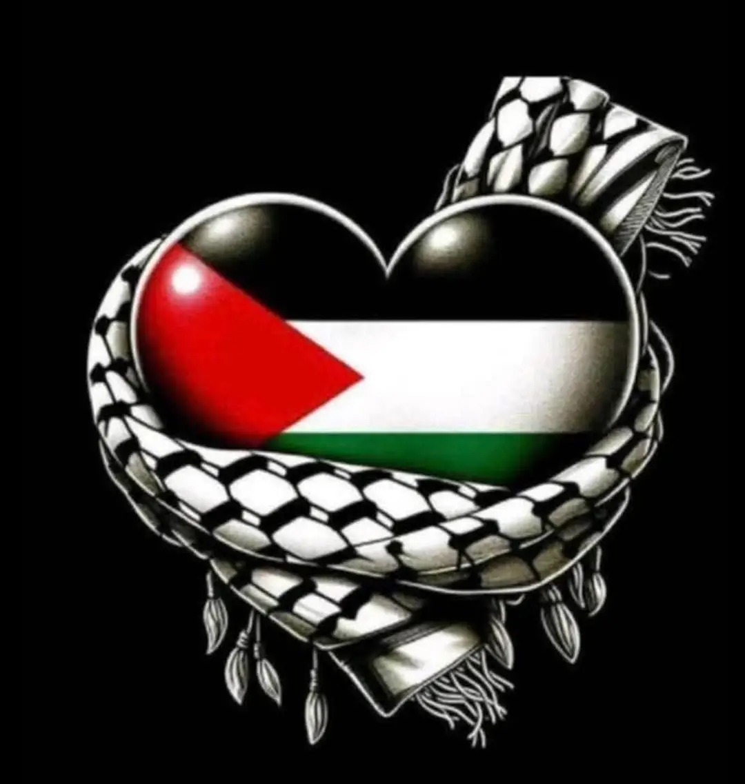 Taragh M. O'Kelly tweet media