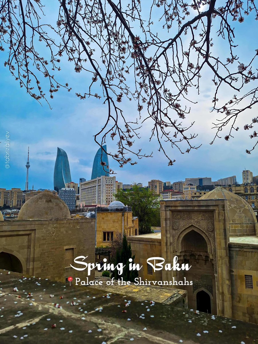 Azerbaijan_BAK's tweet image. 🇦🇿❤ AZERBAIJAN ❤🇦🇿

🇦🇿 #Azerbaijan, #Baku 🇦🇿
