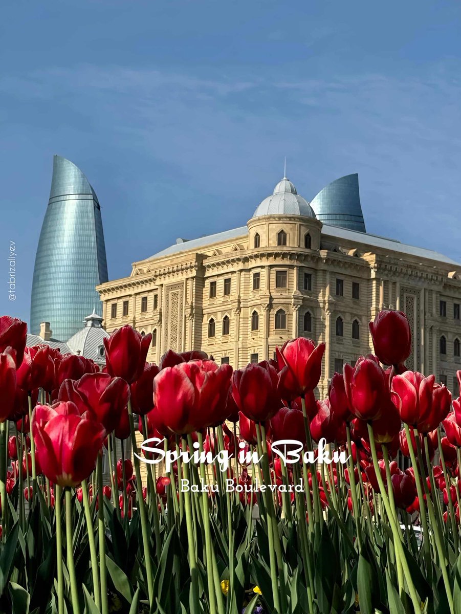 Azerbaijan_BAK's tweet image. 🇦🇿❤ AZERBAIJAN ❤🇦🇿

🇦🇿 #Azerbaijan, #Baku 🇦🇿