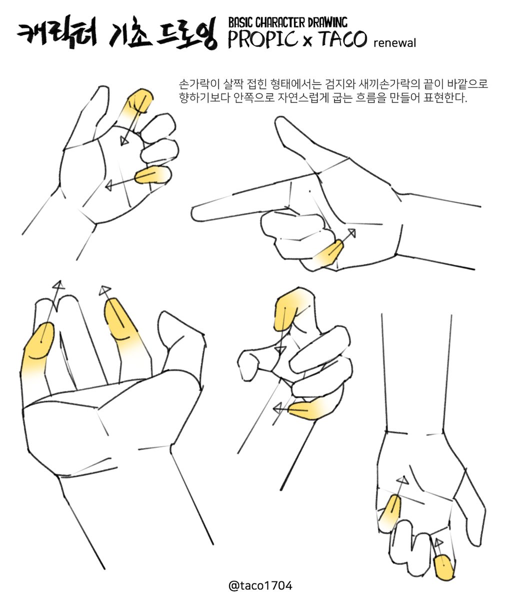 손가락이 살짝 접힌 형태에서는 검지와 새끼손가락의 끝이 바깥으로 향하기보다 안쪽으로 자연스럽게 굽는 흐름을 만들어 표현한다.