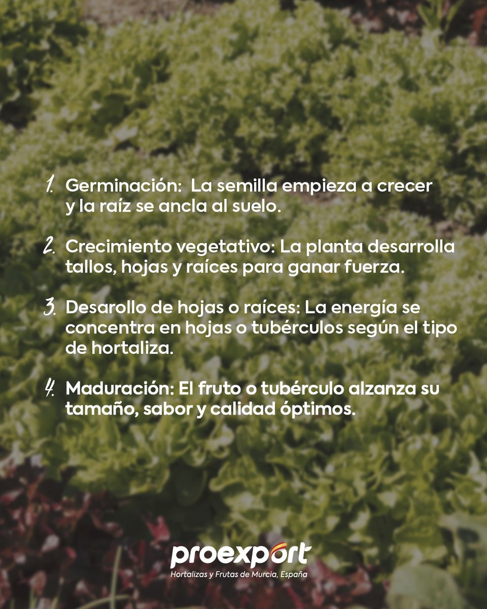 Proexport tweet media