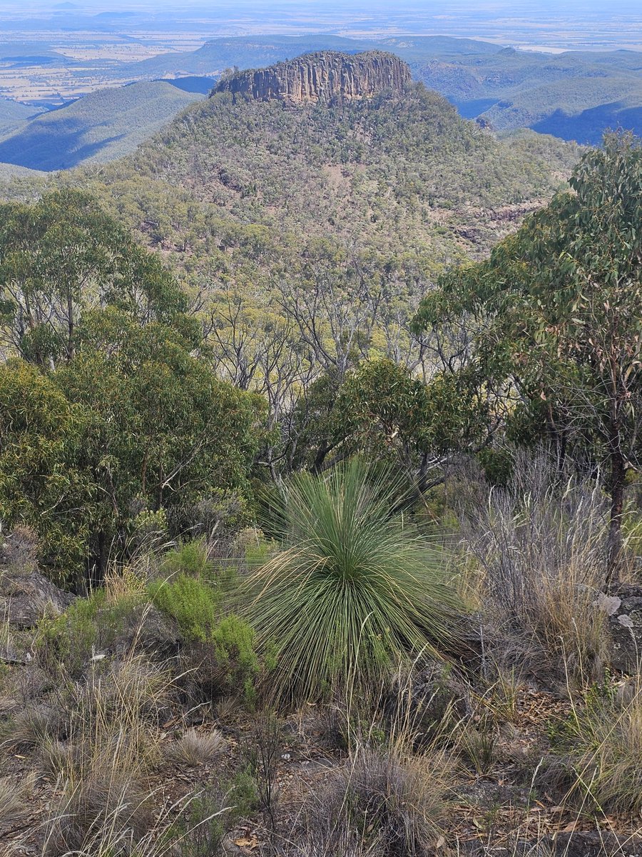 ᴀʙʙɪᴇ tweet media