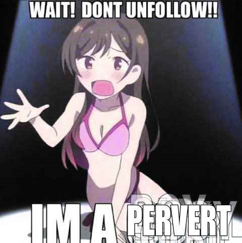 Rika Uindou tweet media