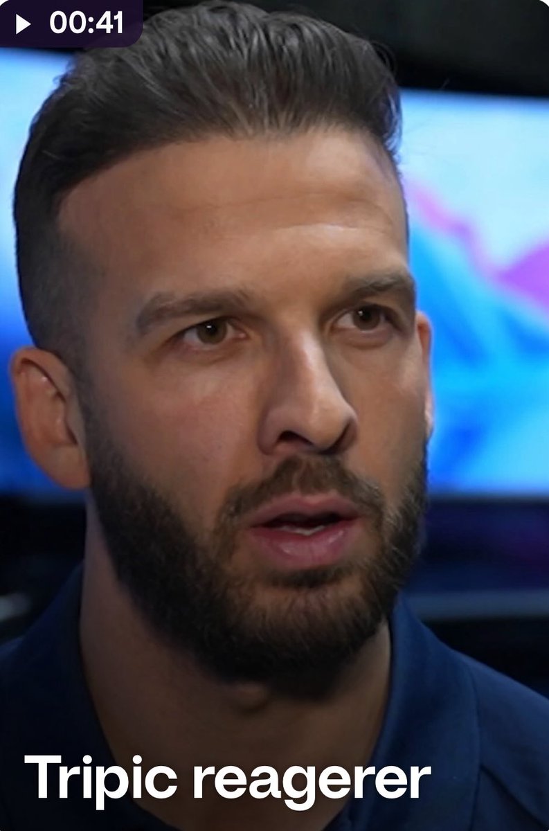 særpepus tweet media