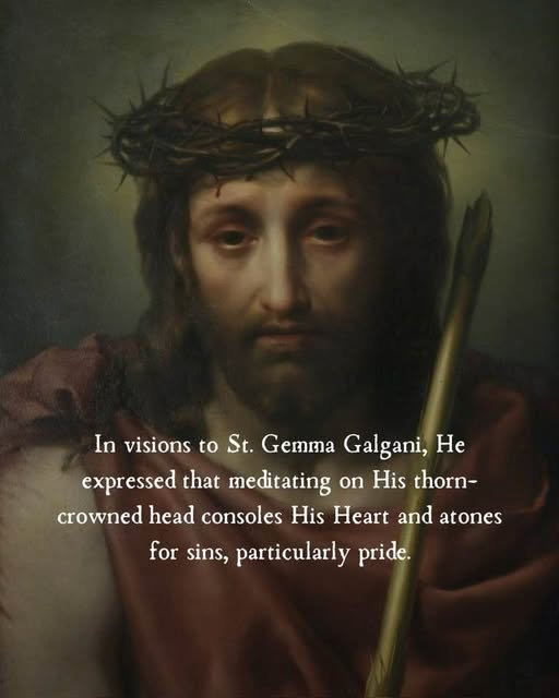 +JMJ+Kyrie Eleison Christe Eleison tweet media