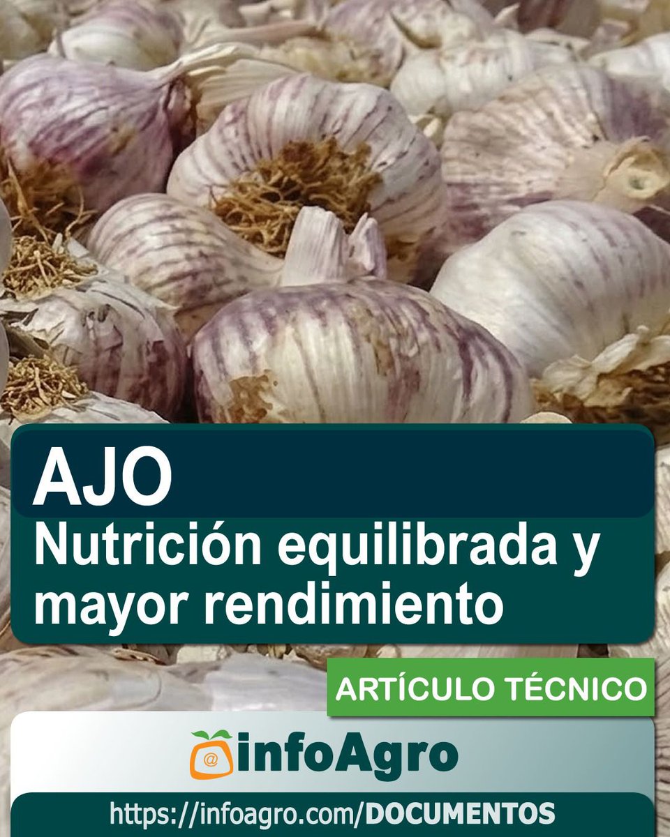 Infoagro tweet media