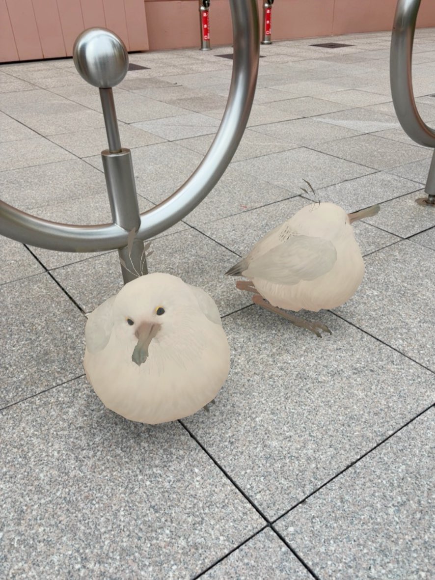 🄿🄴🄲🄾Ⓒ tweet media