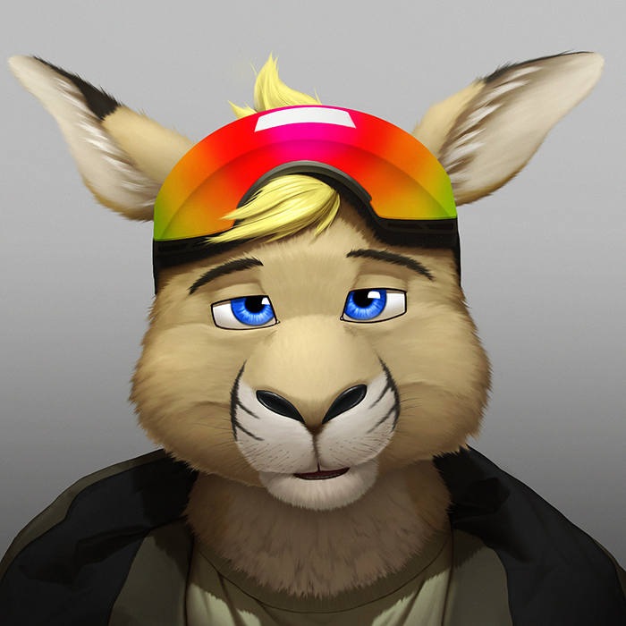 stucat.bsky😹 tweet media