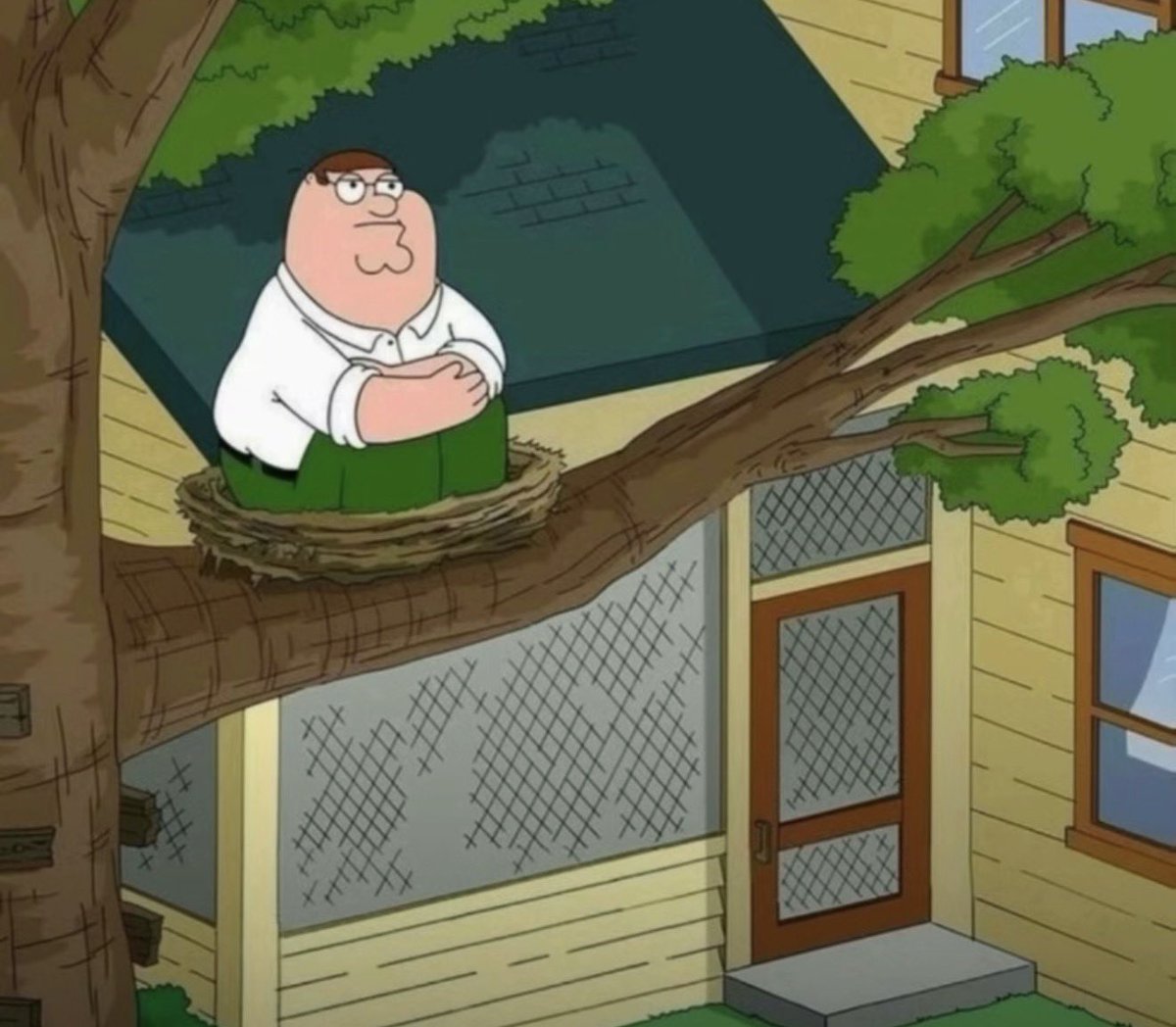 💙 Ψ Hailey Ψ 🩷 tweet media