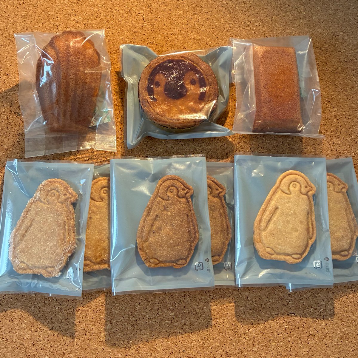 グラシエコンコルド tweet media