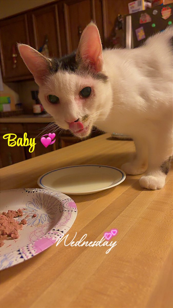 Susan Daw tweet media