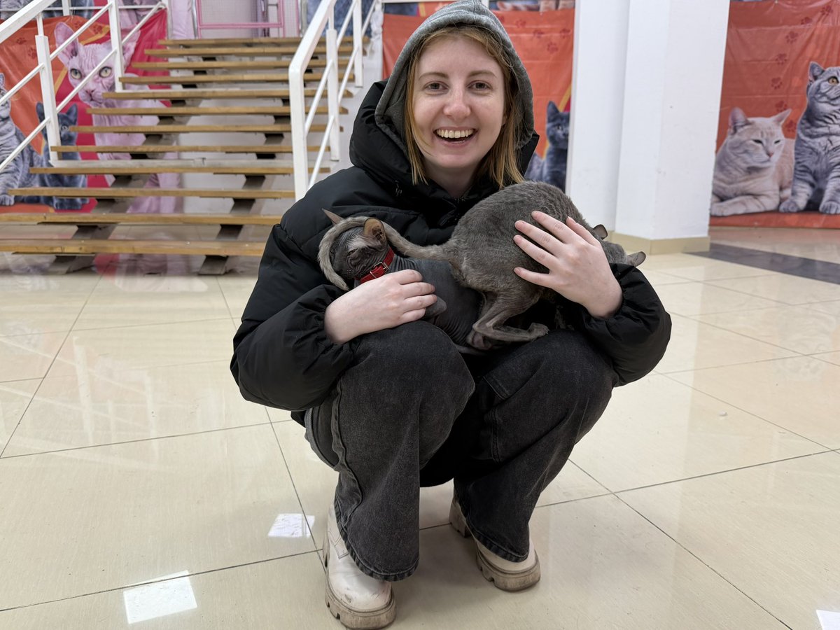 Сегодня ходили смотреть на кошечек 🥰🥰🥰🥰🥰🥰🥰