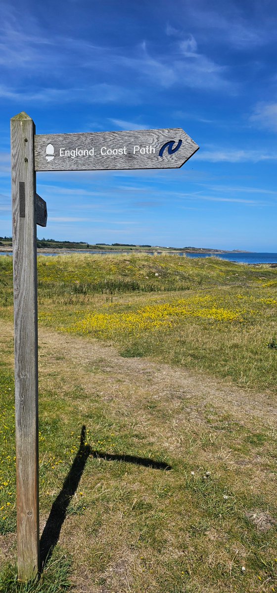 Northstar tweet media