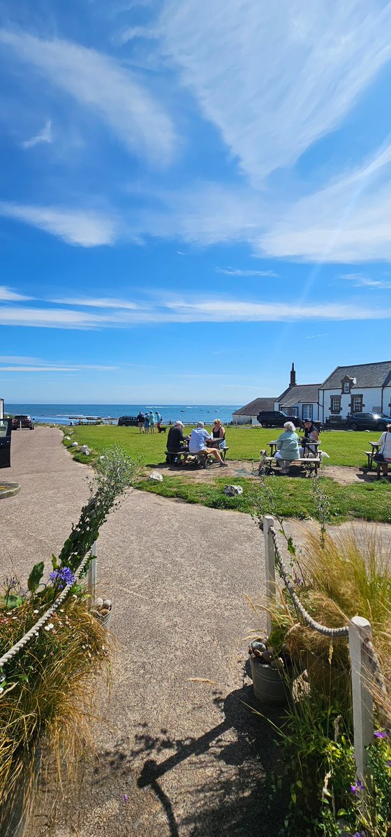 Northstar tweet media